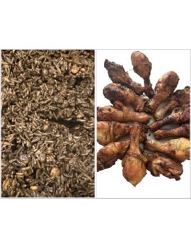 RIZ DJONDJON & GRILLADES (Ailes & pilons de poulet)