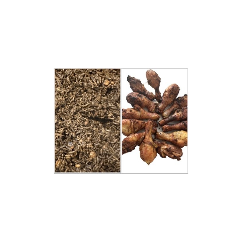 RIZ DJONDJON & GRILLADES (Ailes & pilons de poulet)
