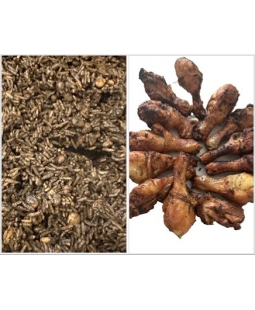 RIZ DJONDJON & GRILLADES (Ailes & pilons de poulet)