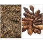 RIZ DJONDJON & GRILLADES (Ailes & pilons de poulet)