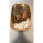 COLOMBO DE PATTES DE PORC & LENTILLES / Riz blanc (750G) COLOMBO DE PATTES DE PORC & LENTILLES / Riz blanc (750G)