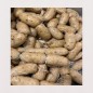 BOUDIN ANTILLAIS À LA MORUE (CHAUD)