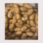 BOUDIN ANTILLAIS AUX CREVETTES(CHAUD)