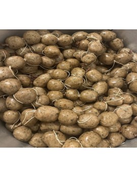 BOUDIN ANTILLAIS AU HARENG SAUR (CHAUD)