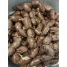 BOUDIN ANTILLAIS TRADITIONNEL (NOIR)